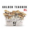 Magic Mushroom Grow Kit Golden Teacher Xl by Mondo