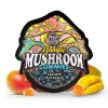 TRE House | Juicy Mango Magic Mushroom Gummies | 15ct