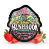 TRE House | Strawberry Dream Magic Mushroom Gummies | 15ct