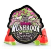 TRE House | Watermelon Wonder Magic Mushroom Gummies | 15ct